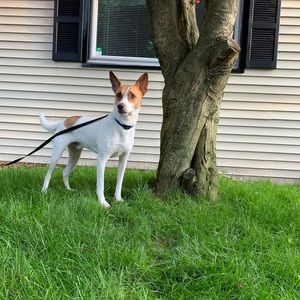 Meet your Posher, Matthew